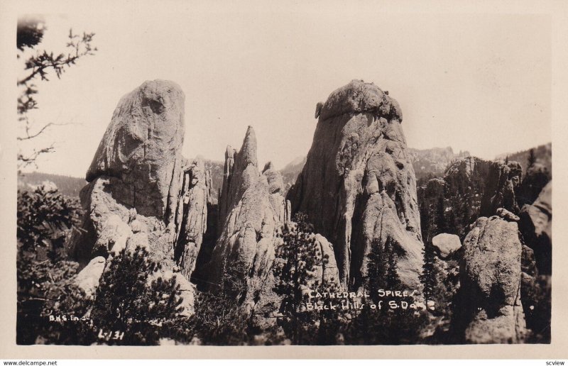 RP; BLACK HILLS, South Dakota, 1910-1920's; Cathedral Spires