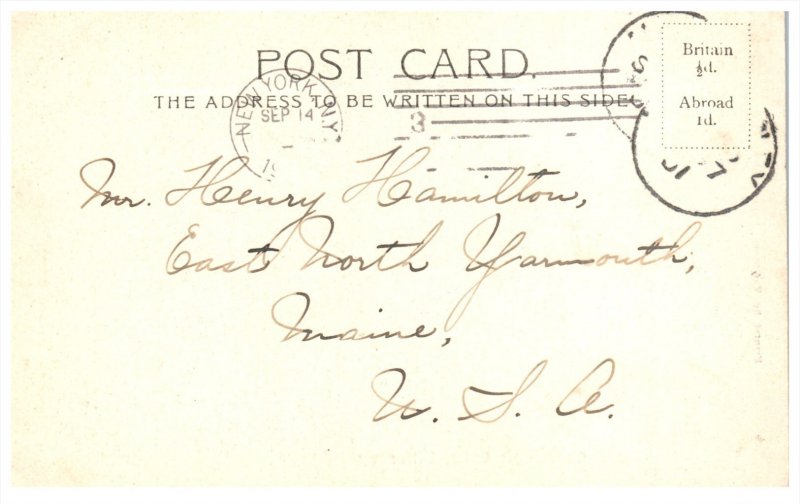 Ireland  Killarney   Cows in Middle Lake