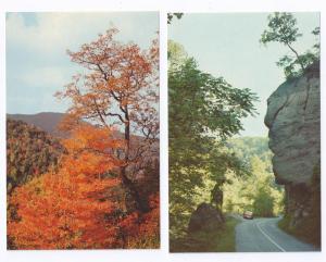 Great Smoky Mountains National Park Views ( 2 cards )