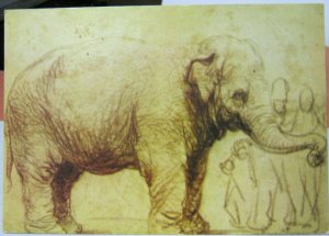 Postcard Animal Art Elephant Rembrandt Van Rijn - unposted