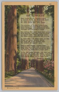 National & State Parks~Road Through Redwoods~The Redwoods Poem~Vintage Postcard