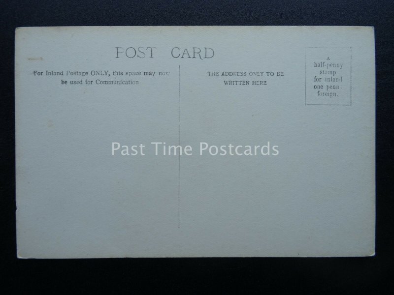Kent MERSHAM showing THE DRAPERS SHOP & THE ROYAL OAK INN c1905 RP Postcard