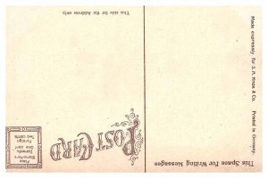 Postcard MONUMENT SCENE Buffalo New York NY AR9448