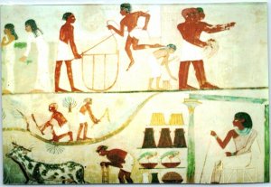 Postcard - Tomb of Menna - Nobels Tombs - Luxor, Egypt