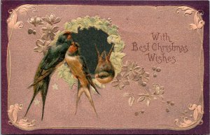 Postcard Christmas  birds swallows and blossoms on wreath