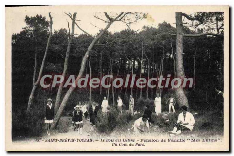 Postcard Old Saint Brevin I'Ocean Le Bois Des Lutins