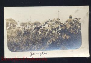 PHILIPPINES PHILIPPINE ISLANDS JUNGLE JUNGLES VINTAGE REAL PHOTO PHOTOGRAPH