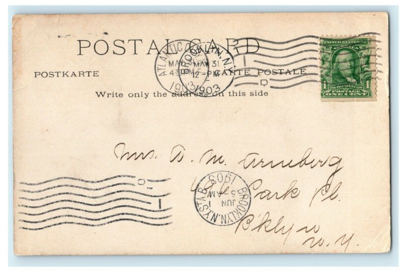 1903 Girl Victorian Hat Donkey Beach Atlantic City New Jersey Posted Postcard 