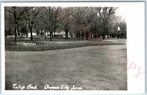 c1950s Orange City, IA RPPC Tulip Bed Grocery Store Coca Cola Sign Photo PC A112