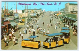 1960 WILDWOOD BY THE SEA NJ THE SIGHTSEER BOARDWALK TRAIN CASES PORK ROLL SIGN