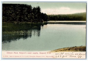 1907 Gilman Pond Newports Water Supply Newport New Hampshire NH Vintage Postcard 