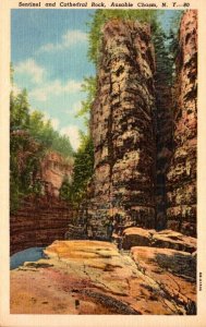 New York Ausable Chasm Sentinel and Cathedral Rock 1960 Curteich
