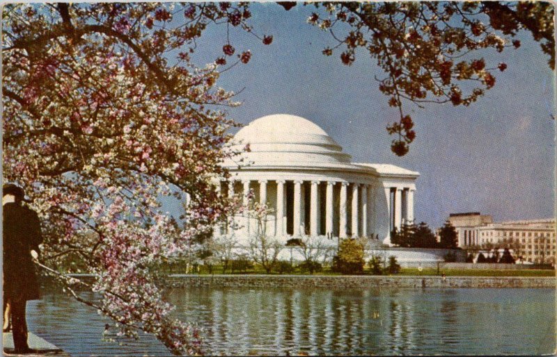 Washington D C The Jefferson Memorial and Cherry Blossoms