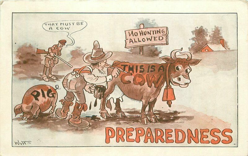 Iowa Stock 1916 Artist Impression Comic Humor Witt Farm Postcard 22-2542