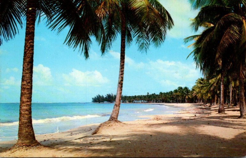 Puerto Rico Beautiful luquillo Beach 1969