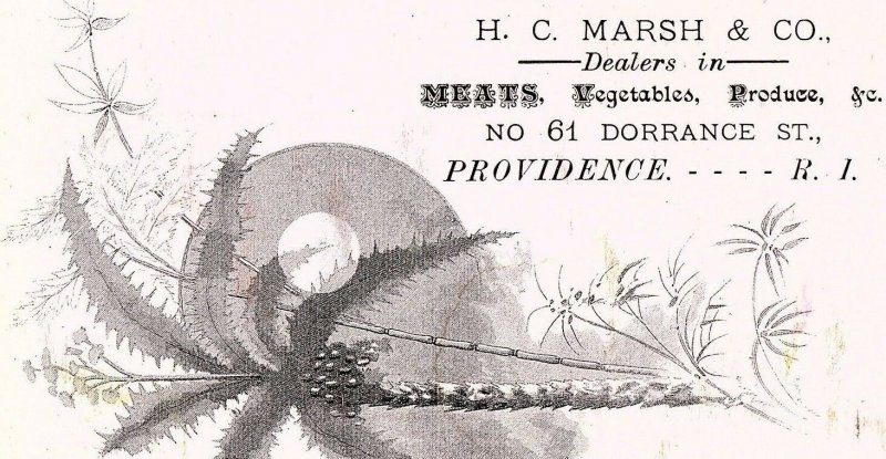 Lot of 4 1870's H.C.Marsh & Co Engraved Meats Tropical Victorian Trade Card P121