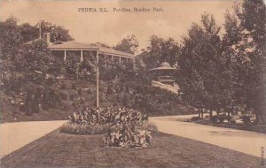 Illinois Peoria Pavilion Bradley Park 1910