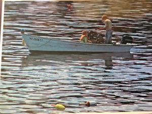 Postcard View of Small Boat Lobstering off Bar Harbor, Maine. 4 x 6      Y5