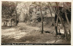 RPPC Postcard The Upper Road At Camp Redwood Calistoga CA Napa County