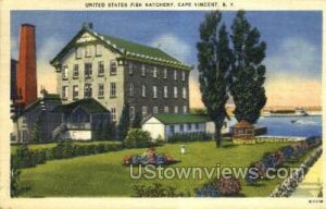 US Fish Hatchery - Cape Vincent, New York NY Postcard