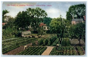 1910 Results Planting Buckbee's Full-Of-Life Seeds Rockford Illinois IL Postcard