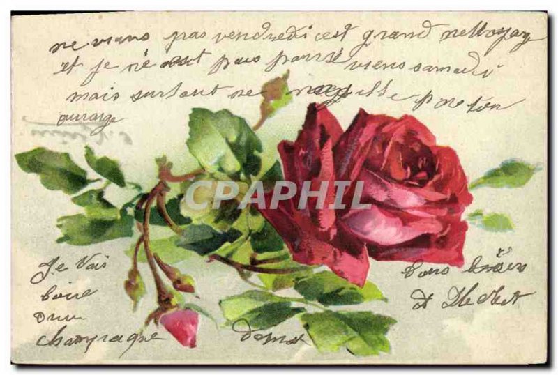 Old Postcard Fantasy Flowers Illlustrateur