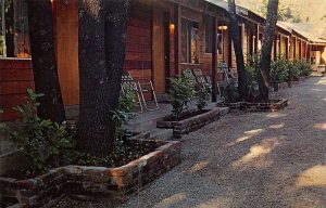 Dunsmuir California Cedar Lodge Motel Lodge Entrance Vintage Postcard U616
