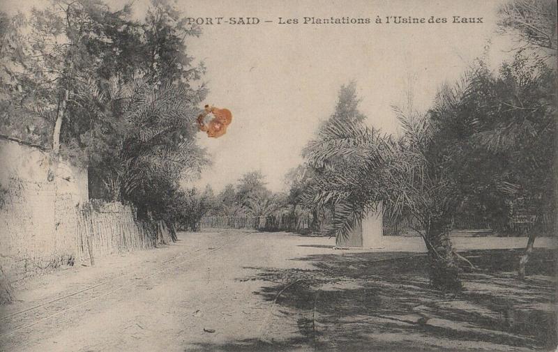 Egypt Port Said les plantations a l`Usine des Eaux messageries maritimes card