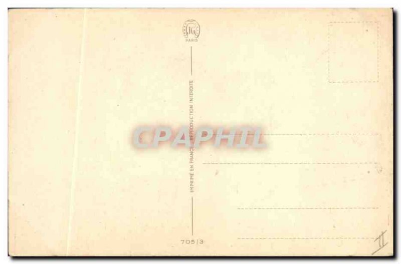 Old Postcard Cat Kitten Cats