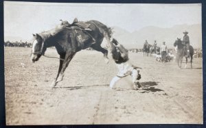 Mint USA Real Picture Postcard Cowboy Rodeo Horse Ridding Scene