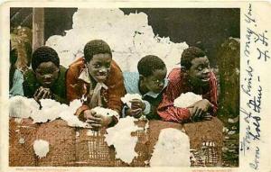 Black Americana, Black Children on a bale of Cotton, Detroit Publishing 6824