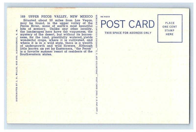 Vintage Upper Pecos Valley New Mexico Postcard P191E