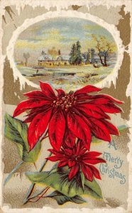 A MERRY CHRISTMAS Poinsettias Holiday Greetings Vintage Postcard 1910