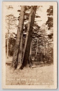 RPPC Home of The Pine Cass Lake Minnesota MN Real Photo Postcard Y24