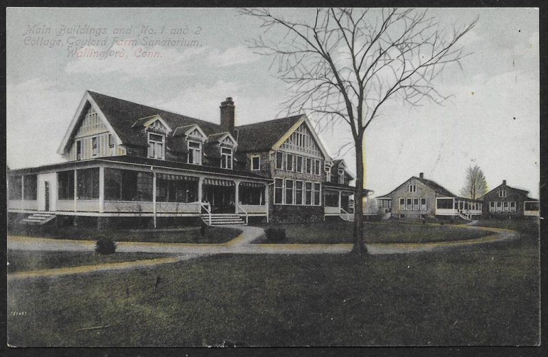 Gaylord Farm Sanatorium Main Building & Two Cottages Used c1909