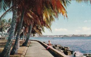 Panama Colon Palm Lined Promenades Along Atlantic Coast