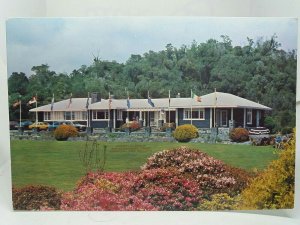 Pukeiti Gardens Rhododendron Trust Taranaki New Zealand Vintage Postcard