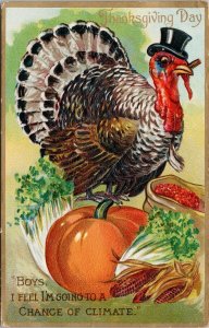 Thanksgiving Day Turkey Pumpkin 'Boys... Change of Climate' Tuck Postcard G42