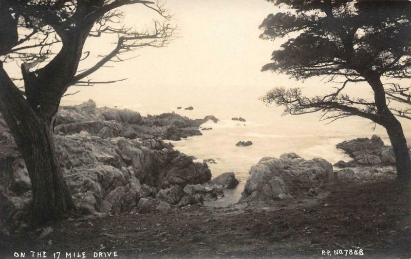 RPPC 17 Mile Drive Monterey County Pillsbury Photo 7888 c1910s Vintage Postcard