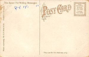 Cattle Pens, Union Stock Yards Chicago, Illinois, USA Cow Postcard