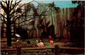 Wisconsin Milwaukee County Zoo Aquatic Free Flight Hall 1973