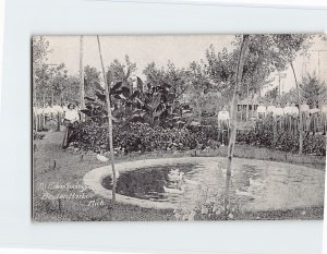 Postcard At Eden Springs, Benton Harbor, Michigan