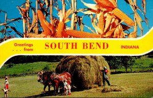 Indiana South Bend Greetings With Hay Wagon and Corn