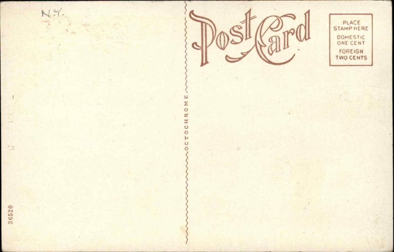 Redpath Chautauqua Crowd - New York? c1920 Postcard