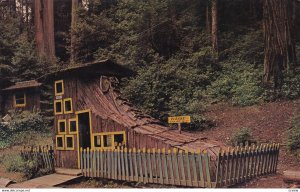 CONFUSION HILL, California, 1940s-Present; Children's Delight On The Redwood ...