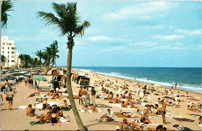 Beach Ft Lauderdale Florida FL Sunbathing Palms VTG Postcard PM Clean Cancel WOB 