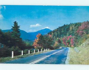 Unused 1950's GREETINGS FROM - ROAD THRU AUTUMN TREES Oneonta New York NY Q8550