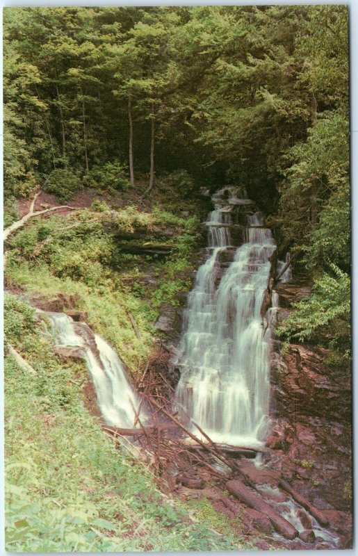 c1960s Cherokee, NC Soco Falls Gap Waterfall Indian Reservation Chrome PC A298
