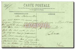 Old Postcard Annecy Swans