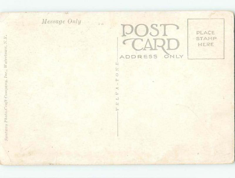 Divided-Back SENATE CHAMBER Albany New York NY HM7067